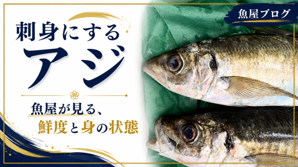 刺身用に仕入れた新鮮なアジ。魚屋が鮮度と身の状態を見極める