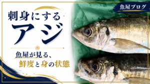 刺身用に仕入れた新鮮なアジ。魚屋が鮮度と身の状態を見極める
