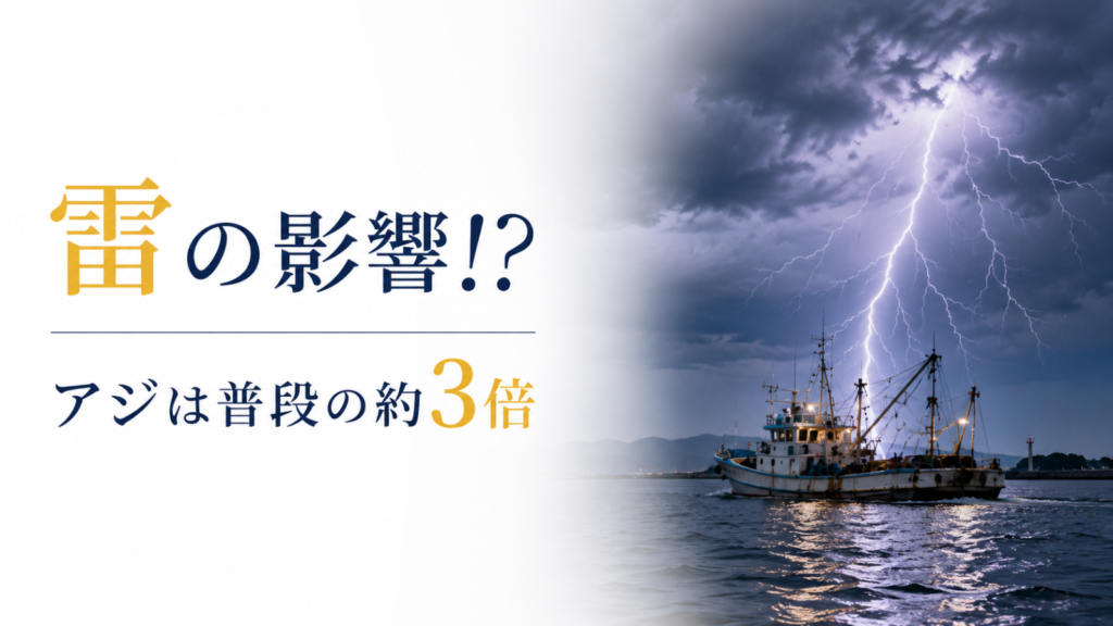 雷の影響で漁が減り、アジが普段の約3倍に高騰