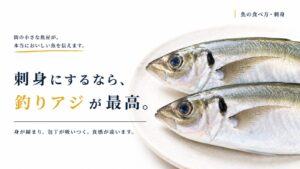 白い皿に並べた新鮮な釣りアジ。刺身にすると身が締まり、包丁が吸いつくような食感を楽しめることを紹介するアイキャッチ画像。