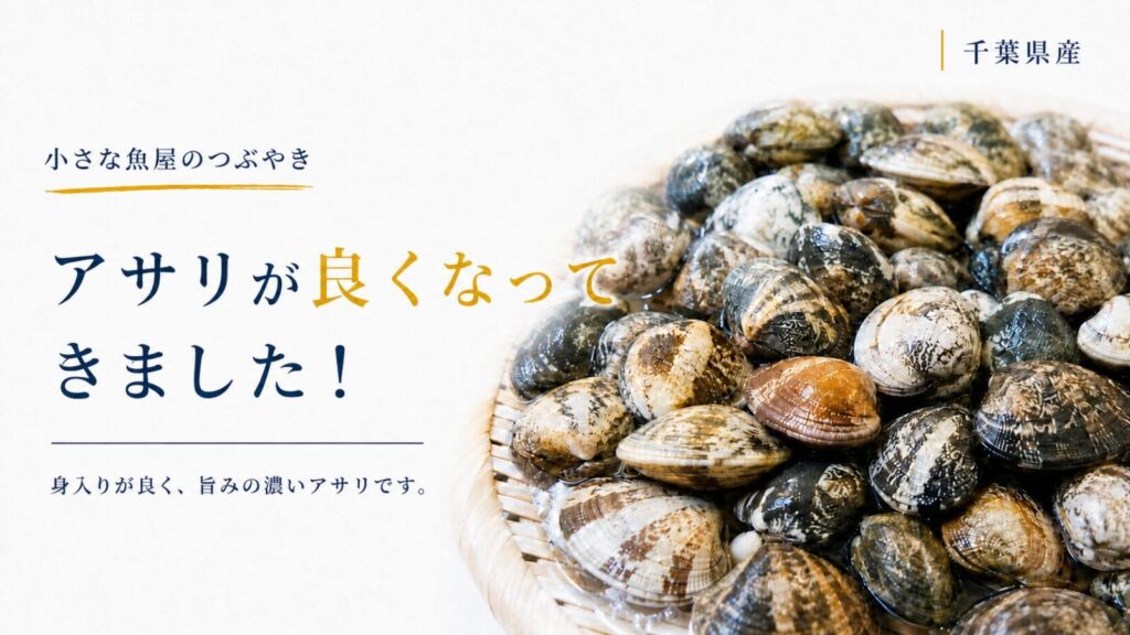千葉県産の新鮮なアサリをざるに盛った写真。「アサリが良くなってきました！」と書かれた記事のアイキャッチ画像。