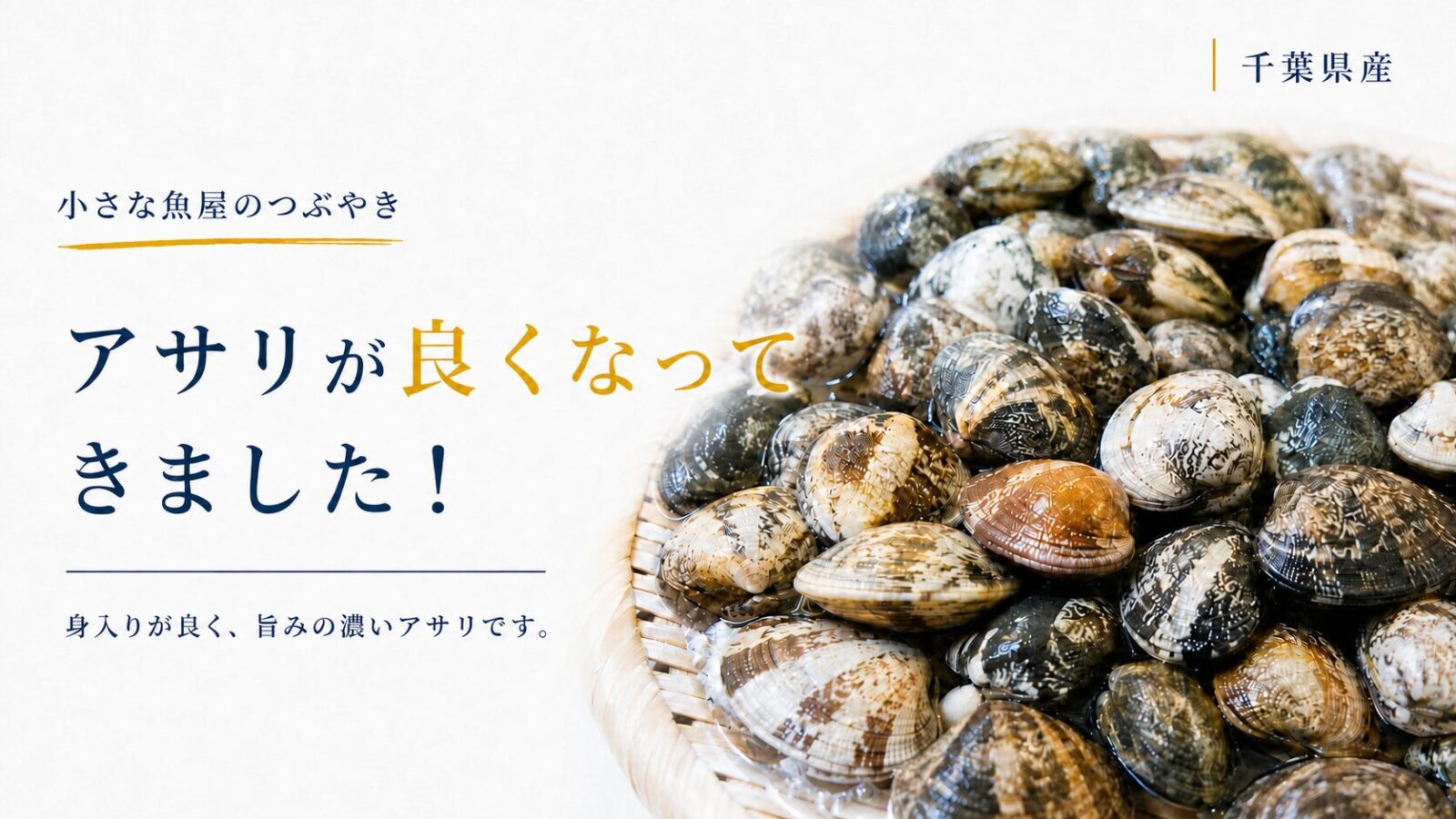 千葉県産の新鮮なアサリをざるに盛った写真。「アサリが良くなってきました!」と書かれた記事のアイキャッチ画像。
