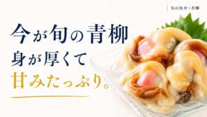 身が厚く、甘みたっぷりの旬の青柳