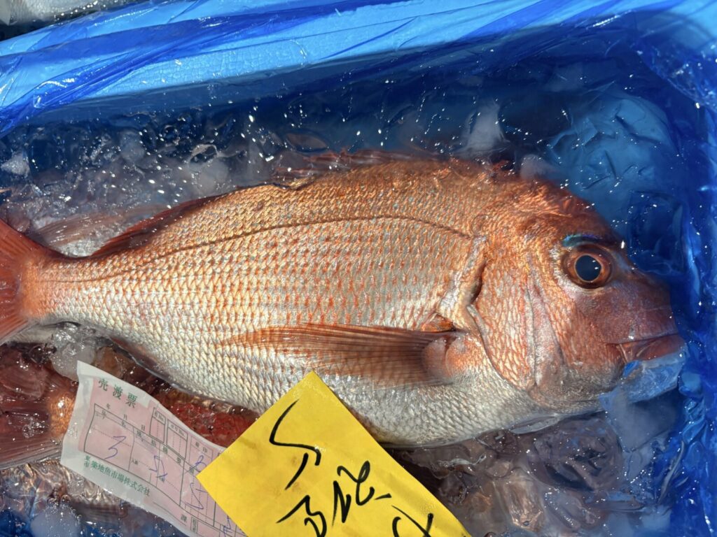 豊洲市場で仕入れた鮮度の良いマダイ