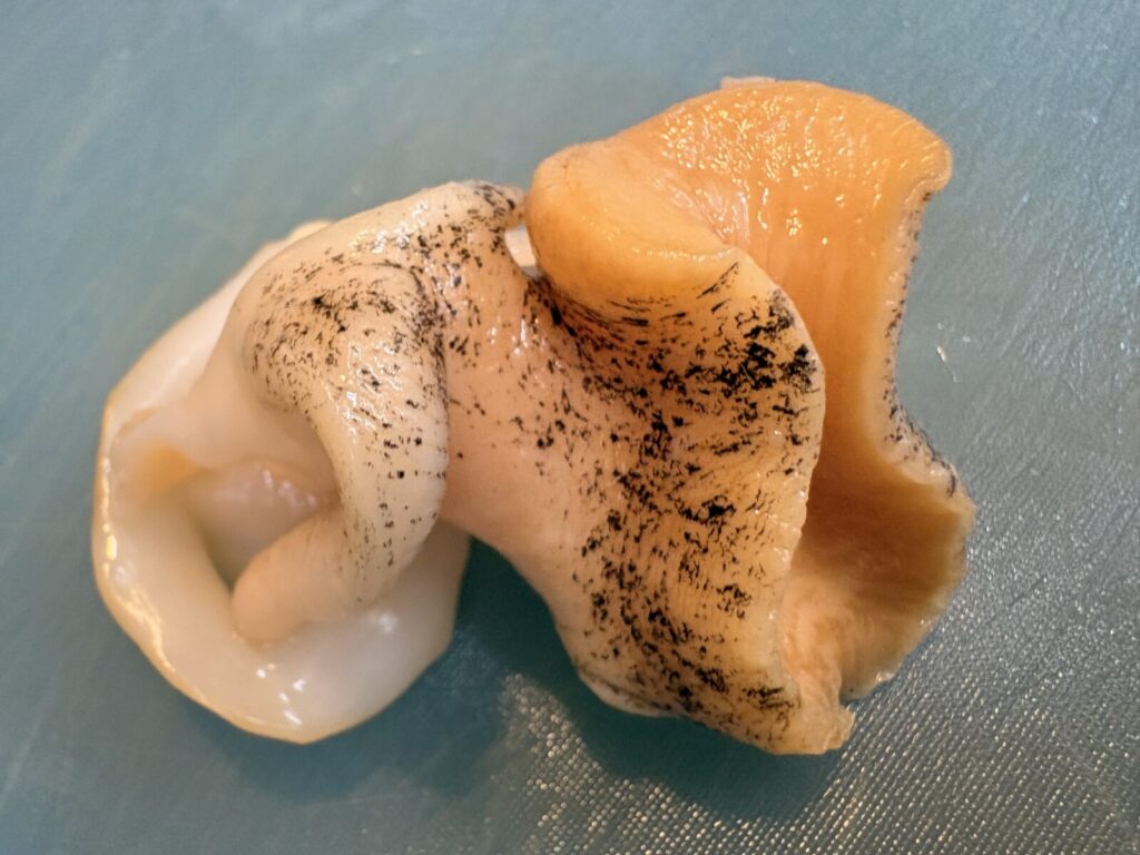 10分塩をつけて水洗いしたツブ貝