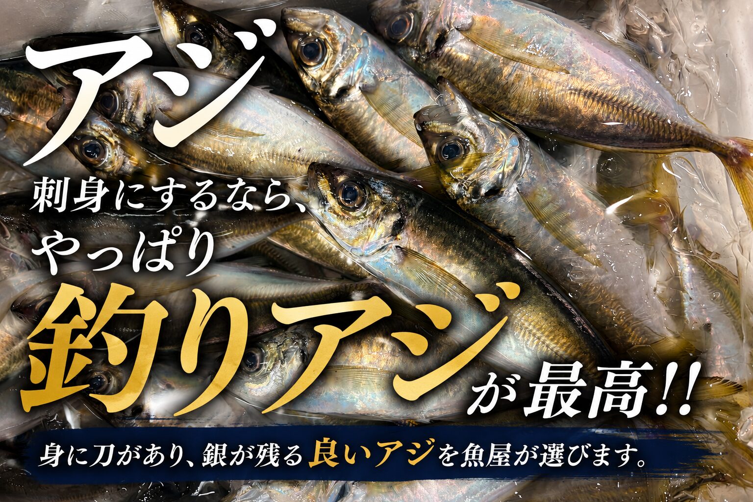氷水の中に並んだ新鮮な釣りアジ