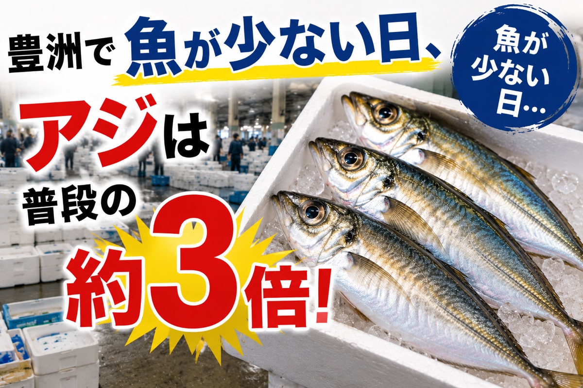 豊洲市場で魚が少ない日に、アジの価格が普段の約3倍になったことを伝えるアイキャッチ画像