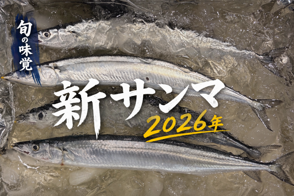 氷の上に並ぶ2026年の新サンマ