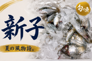 氷の上に並べられた旬の新子